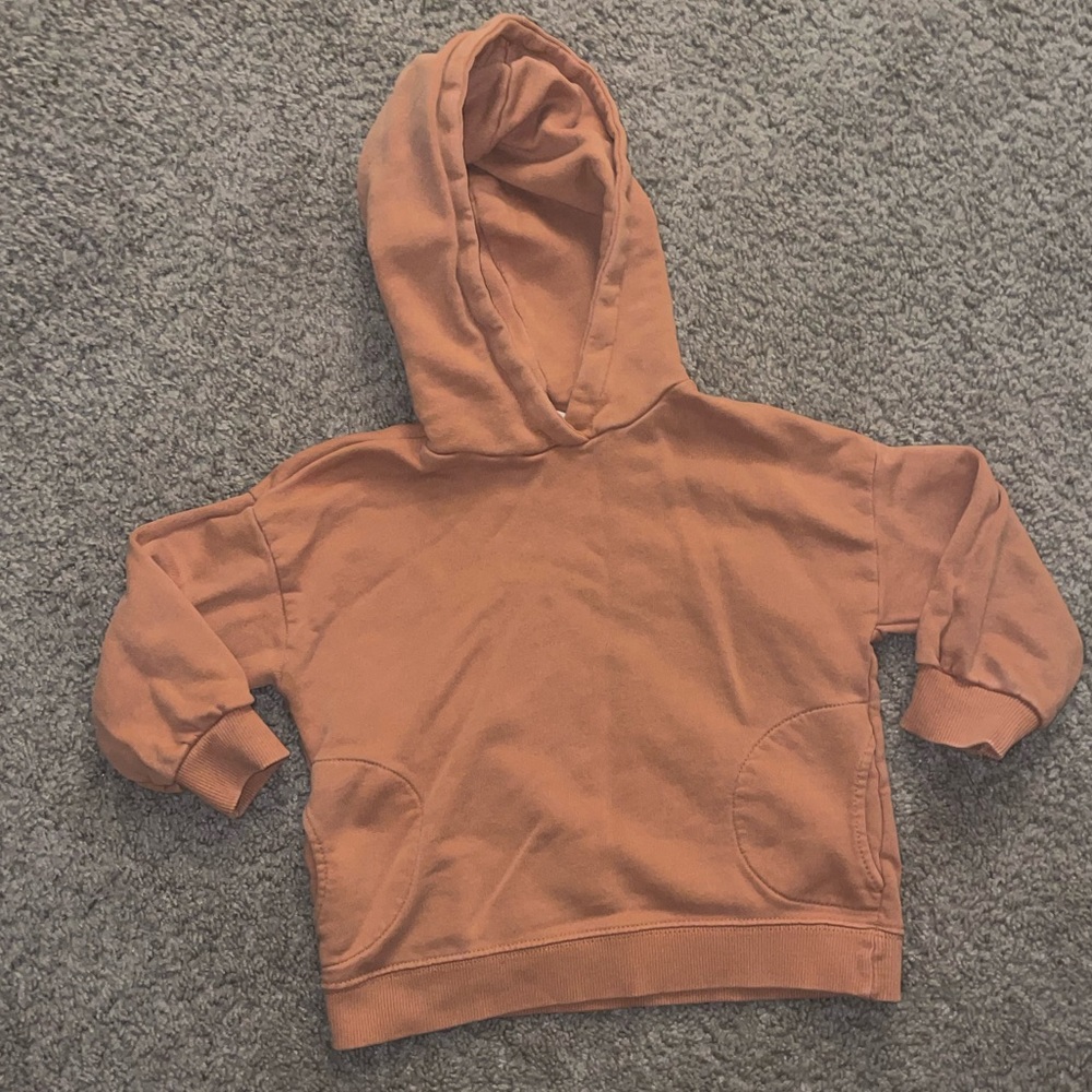 Toddler Zara hoodie